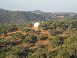 Casas Rurales Sierra Norte