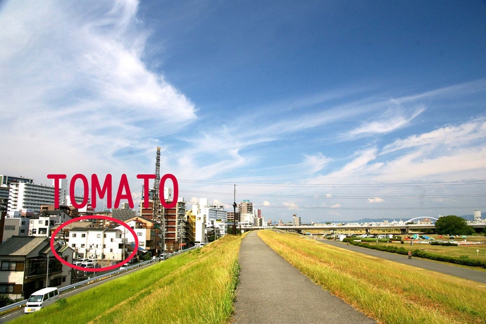 Osaka Tomato