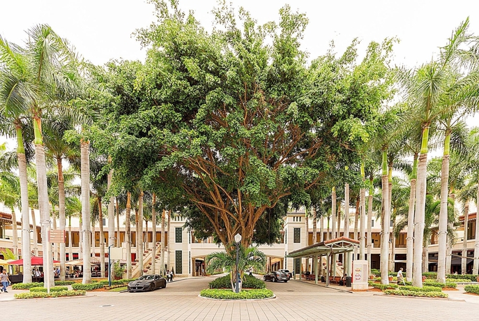 Pelican Residences in Coral Gables