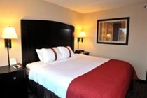 Holiday Inn Hotel y Suites Charleston West